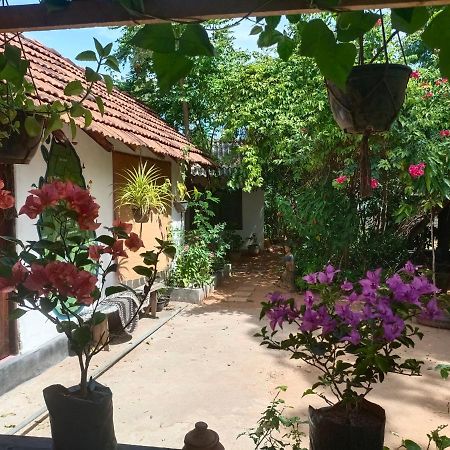 Mamisa Cafe, Home Stay Habarana Exterior foto