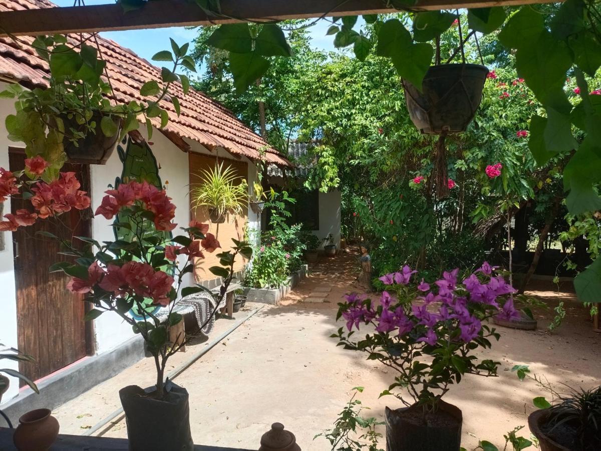 Mamisa Cafe, Home Stay Habarana Exterior foto